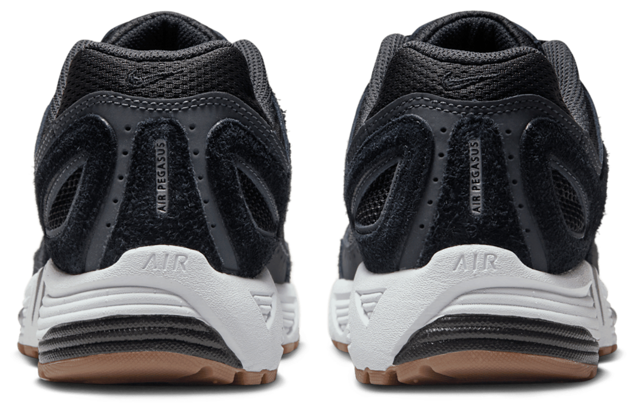 Nike Pegasus 2005