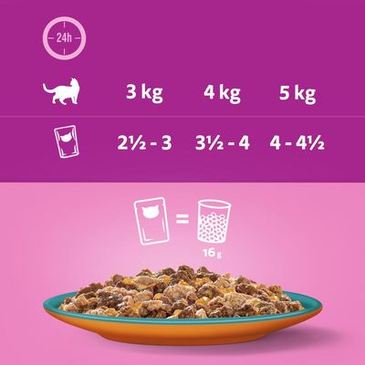 Whiskas 1+ Duo Surf & Turf i gelé