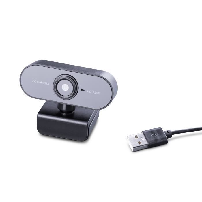 W199 è una webcam intelligente