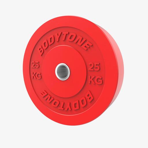  Bodytone 25 kg skive