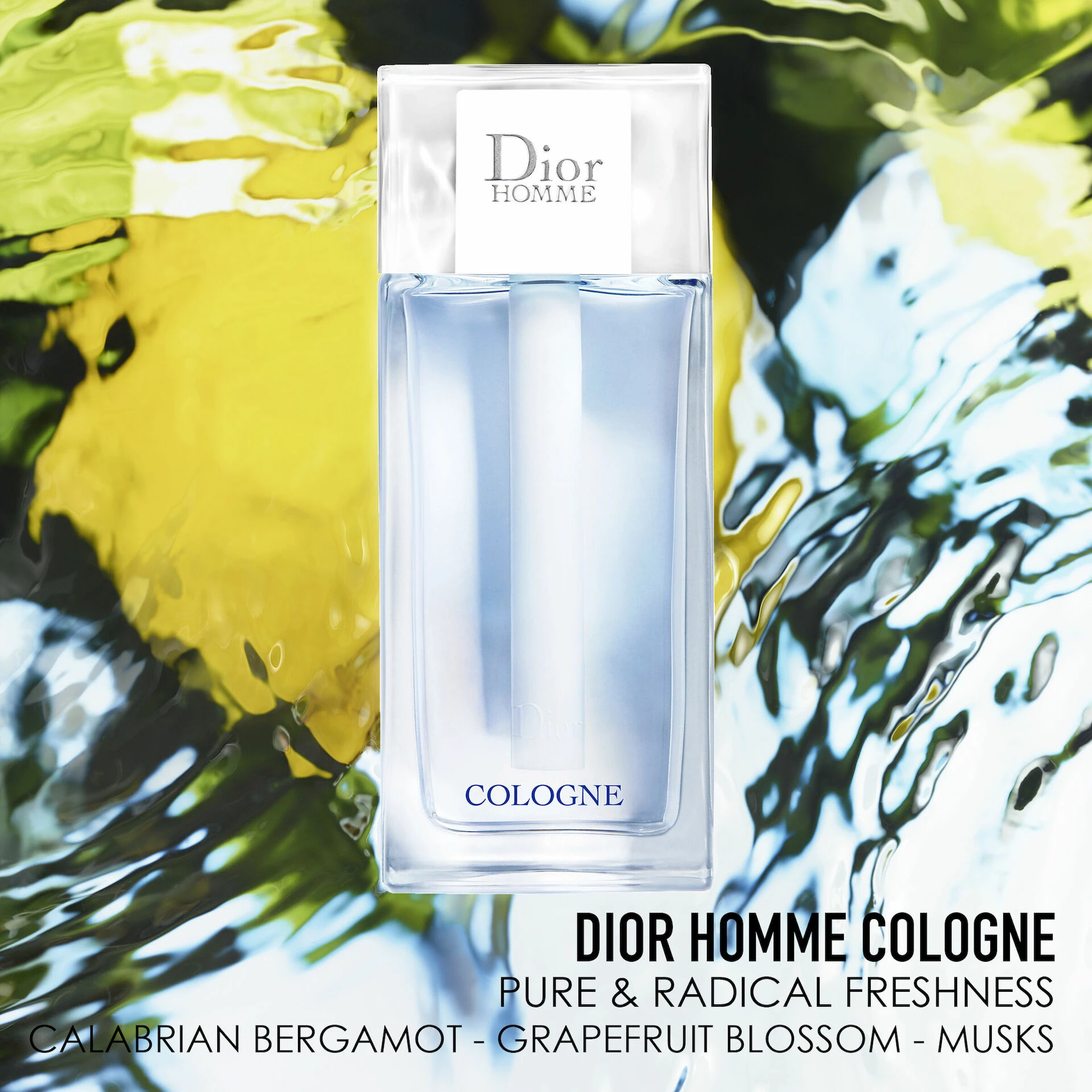 Dior Homme kolonjska voda 75 ml - DIOR
