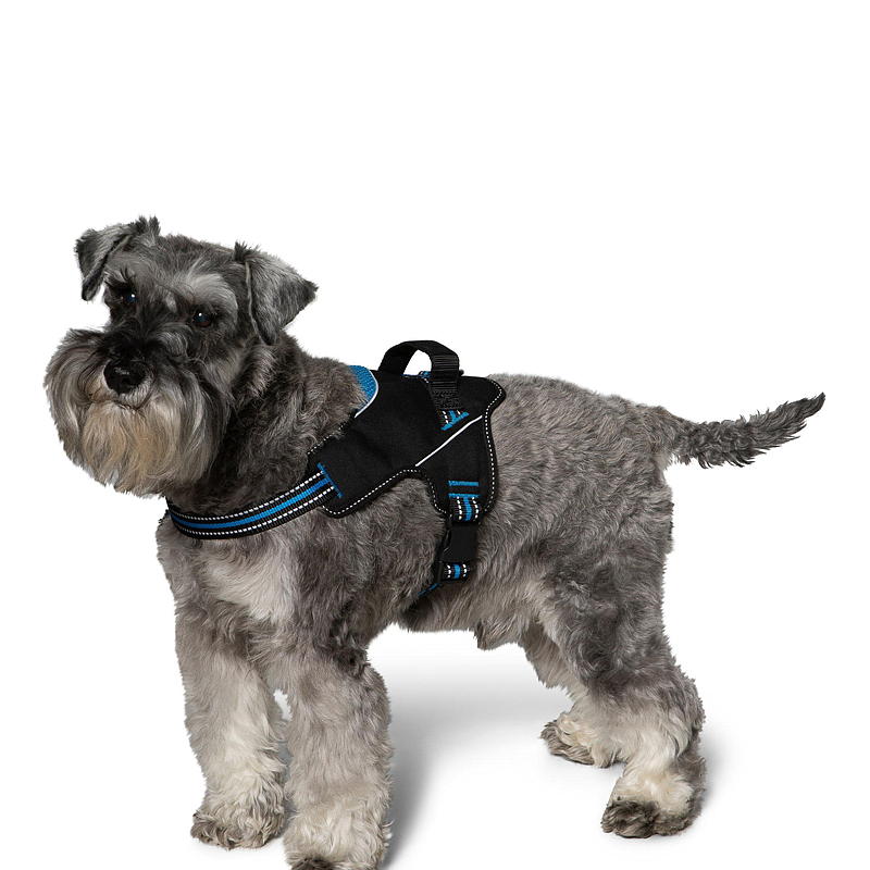 Zoozaker hundesele 35 cm, med håndtak