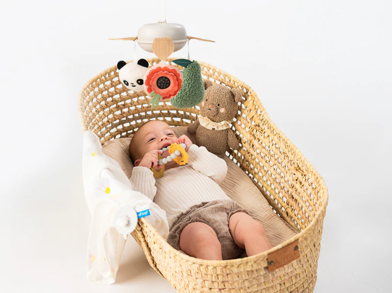Taf Toys Luxe Pasgeboren Baby Cadeauset