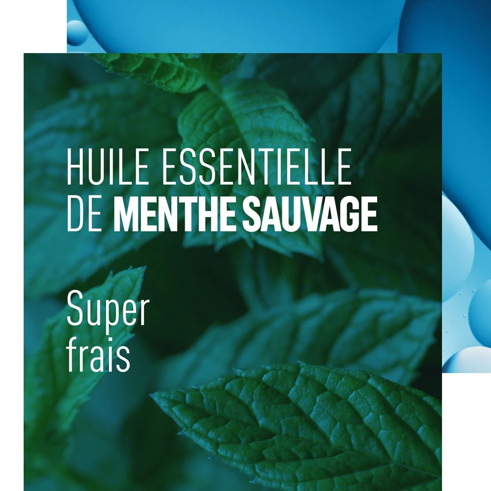 adidas ACTIVE SKIN&MIND PURE FRESH MIXTE
