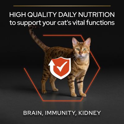 PURINA PRO PLAN Ενηλίκων Ζωτικών Λειτουργιών - Σολομός
