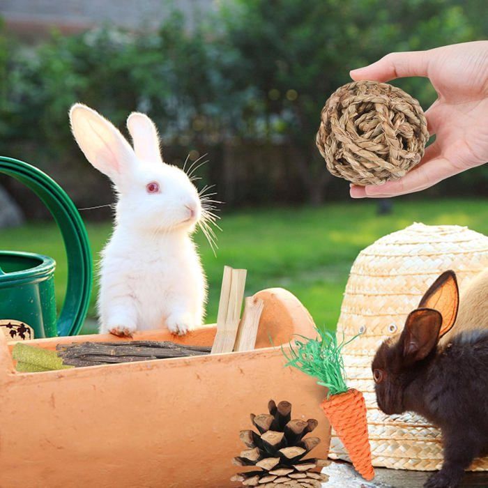 Jouets de mastication - PZCC - 16 pièces - Bois naturel - Pour petits rongeurs - Soins dentaires