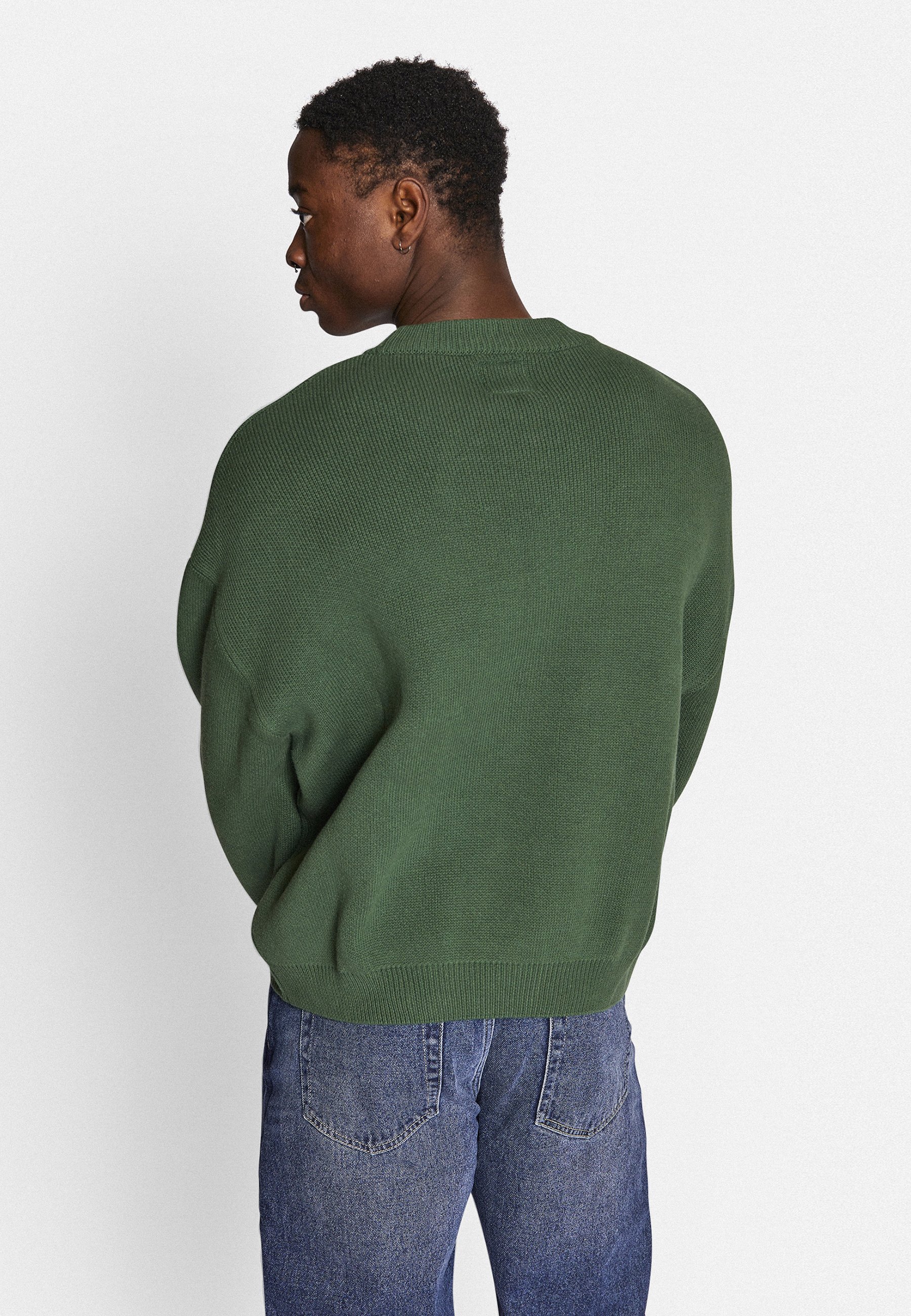 Rebel redéfini BASTIAN - Jumper - des pâturages plus verts