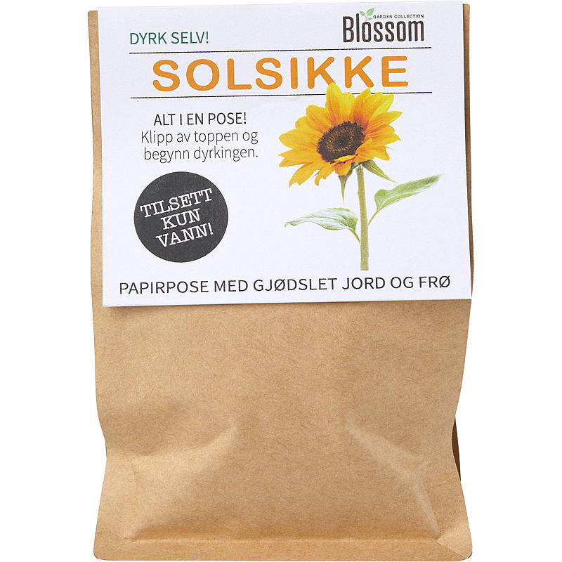 Bolsa de cultivo de flores, semillas de girasol, flor