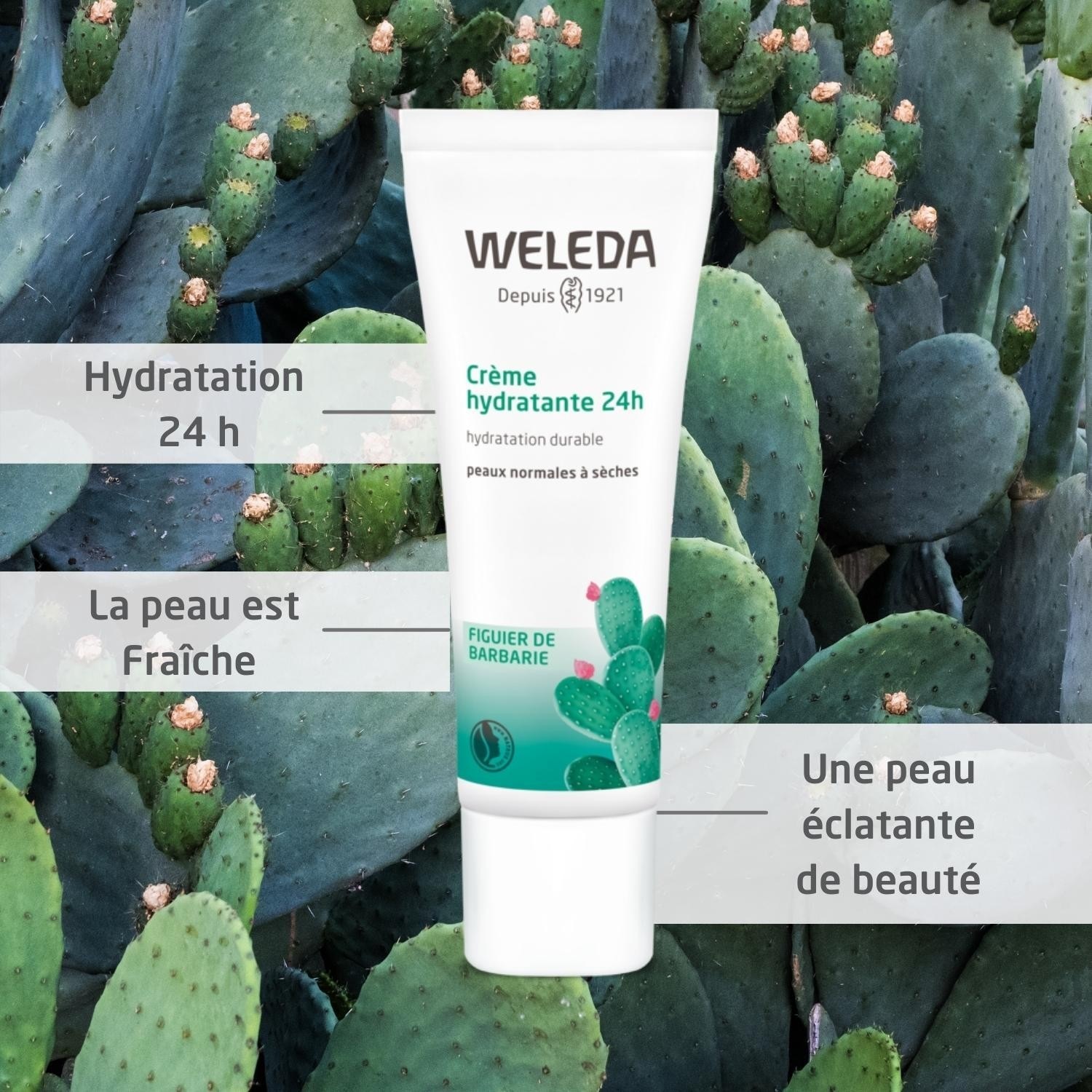 Weleda Crème hydratante 24h - 30ml