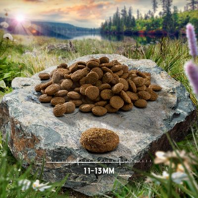 Purizon Puppy Kuře s rybou – bez obilovin