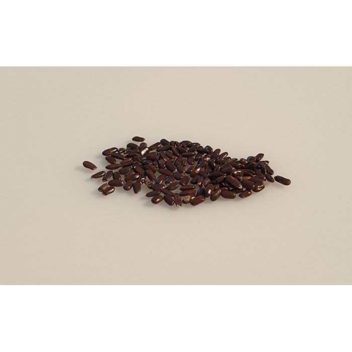 50 Aromatic Seeds - TRUE LAVENDER