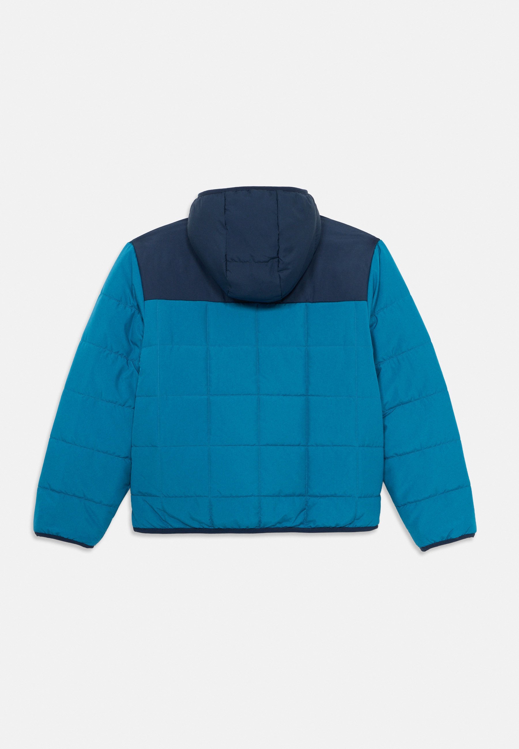 The North Face REVERSIBLE SHASTA HOODED JACKET UNISEX - Winter jacket - dusk blue/summit navy