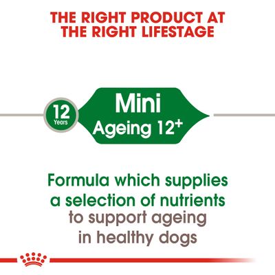 Royal Canin Mini Střih 12+