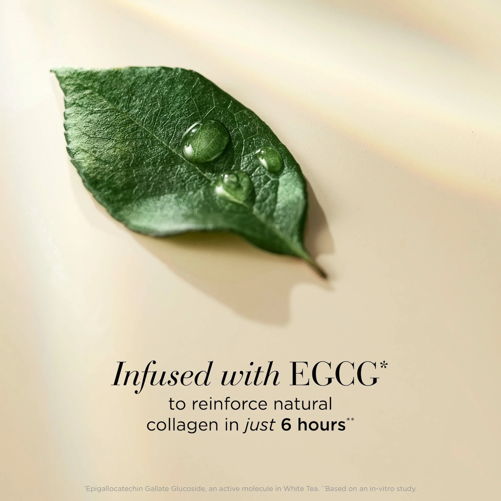 White Tea Skin Solutions nježno pročišćavajuće sredstvo za čišćenje 125 ml - Elizabeth Arden