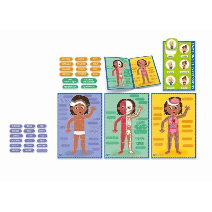 Montessori - Clementoni - The Human Body - Educational game to learn about the body's internal and external structure -