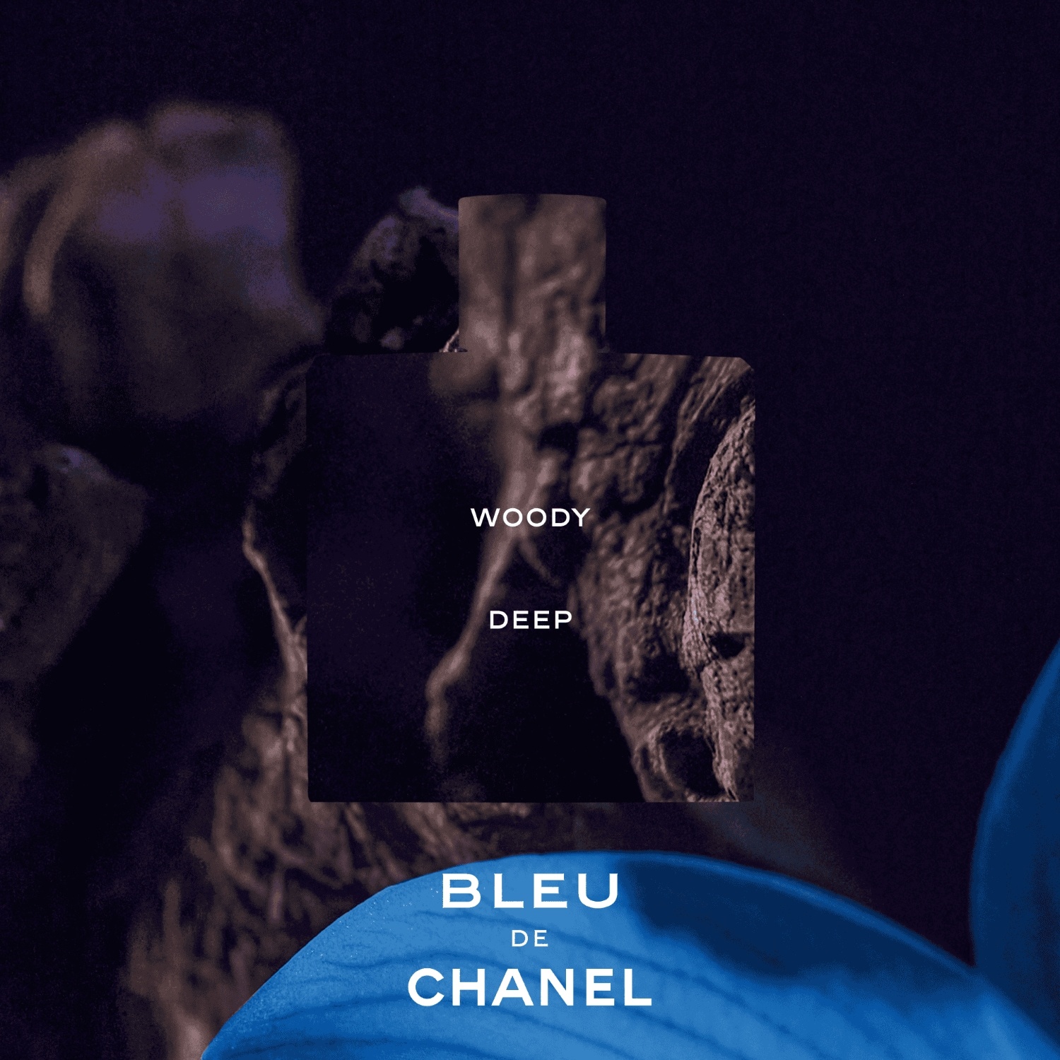 CHANEL parfem BLEU DE CHANEL VAPORISATEUR - 50 ml