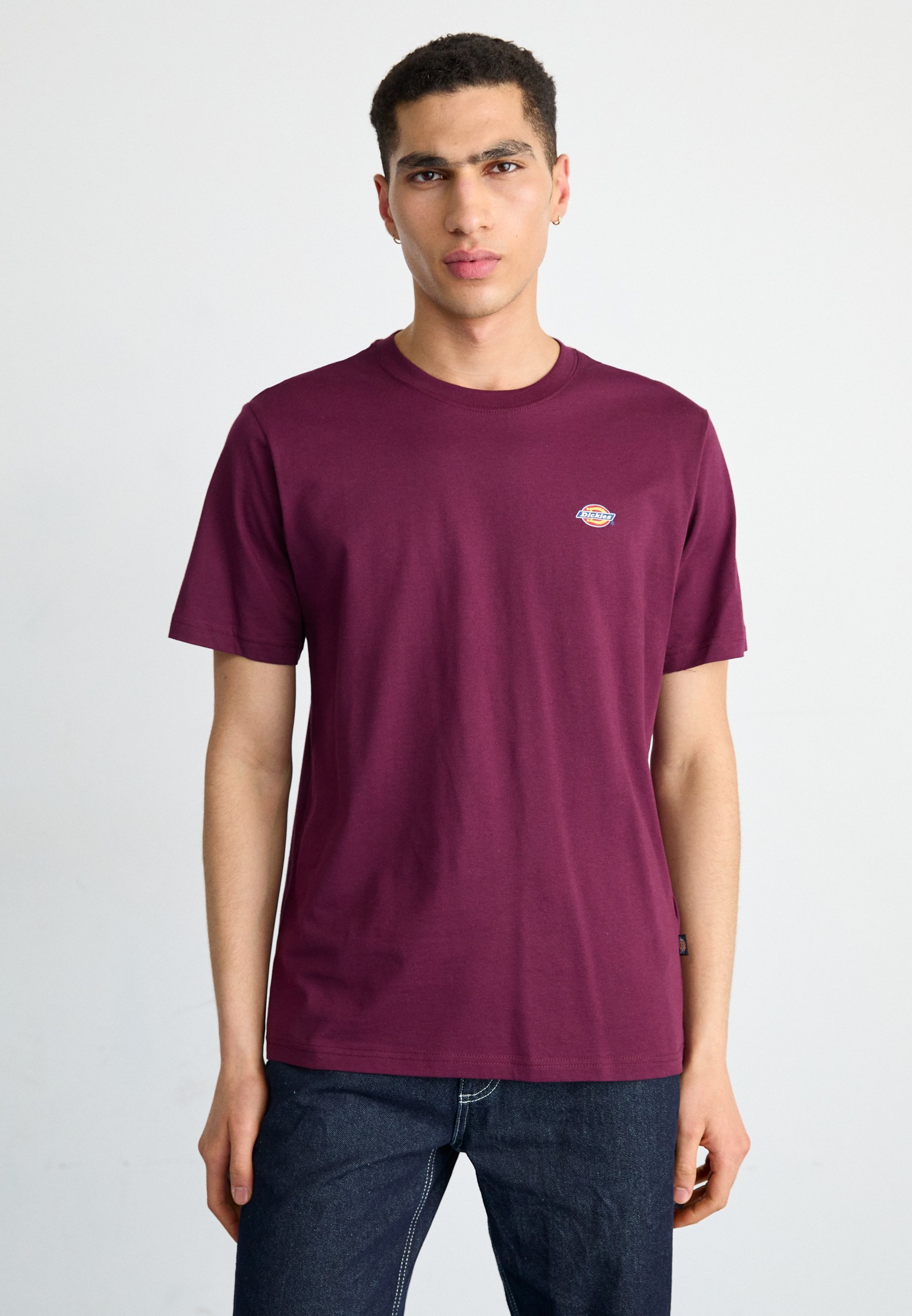 Koszulki Dickies Basic