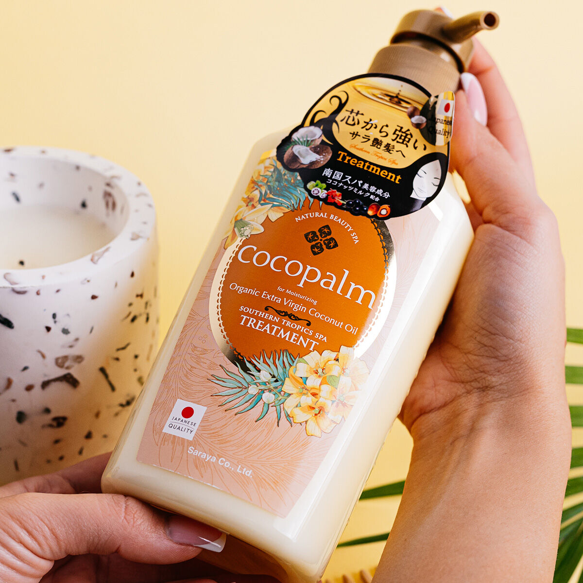 Cocopalm sydlige troper