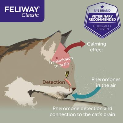 Spray classique Feliway®