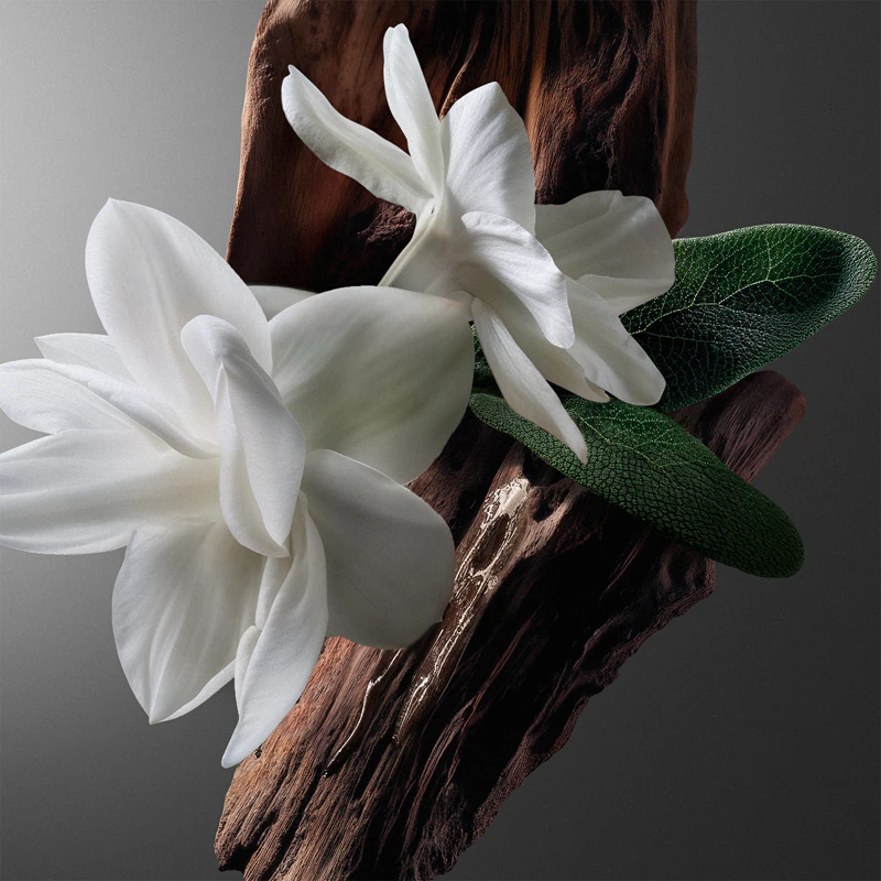 GIVENCHY Gentleman Society Eau de Parfum miehille