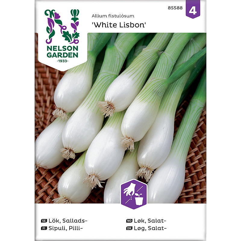 Semi di cipolla bianca di Lisbona, varietà da insalata, di Nelson Garden Seeds