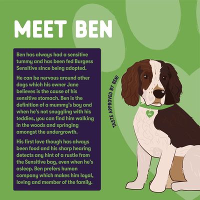 Chien adulte sensible Burgess Agneau