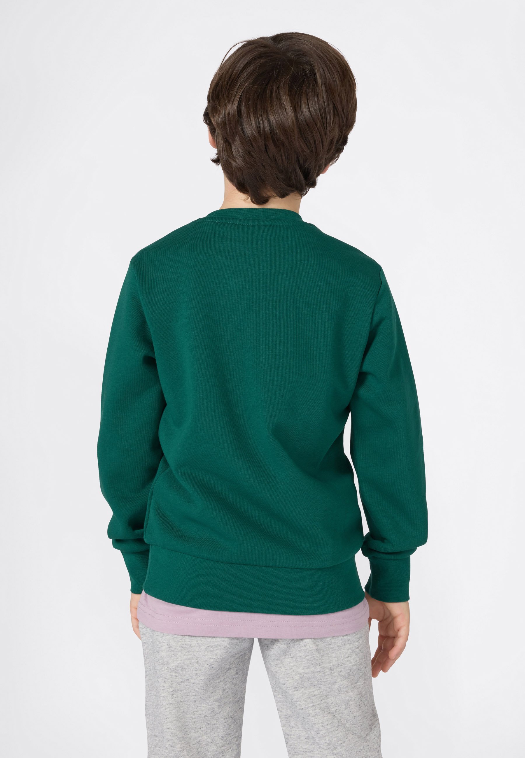 Sweat-shirt Champion ICONS CREW NECK - vert foncé