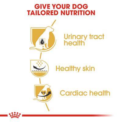 Royal Canin Dalmatian Adult