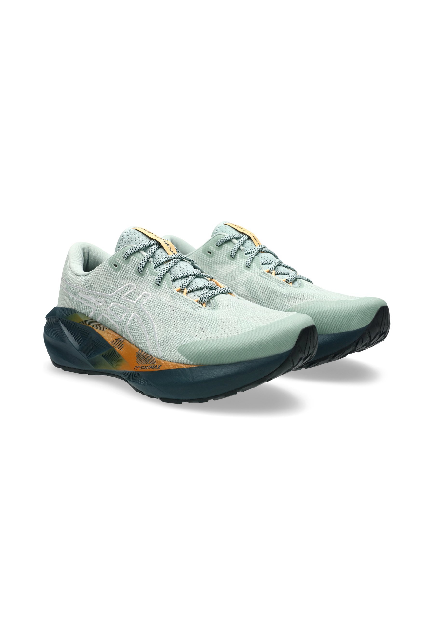 ASICS NOVABLAST 5 TR - Løpesko for terrengløping - nature bathing lichen rock