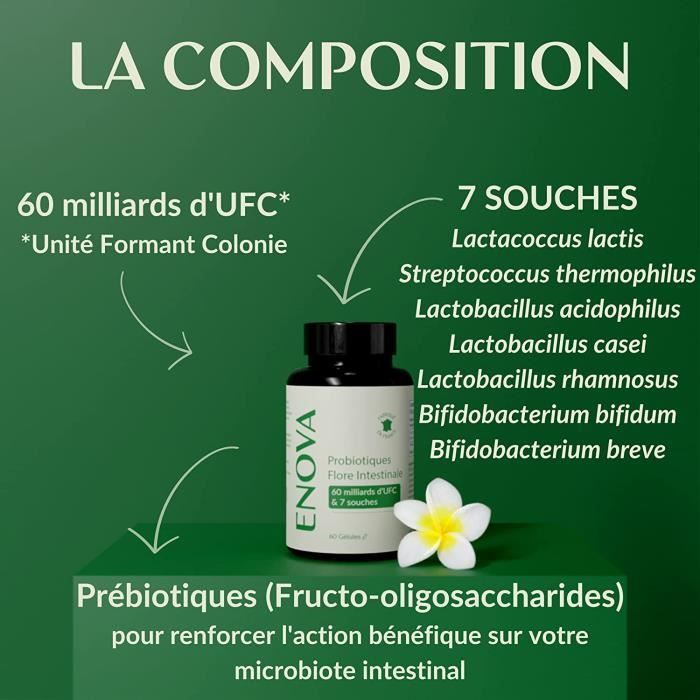 Probiotic Gut Flora - Lactic Acid Bacteria 60 Billion CFU - 60 Capsules - Made in France - Food Supplement