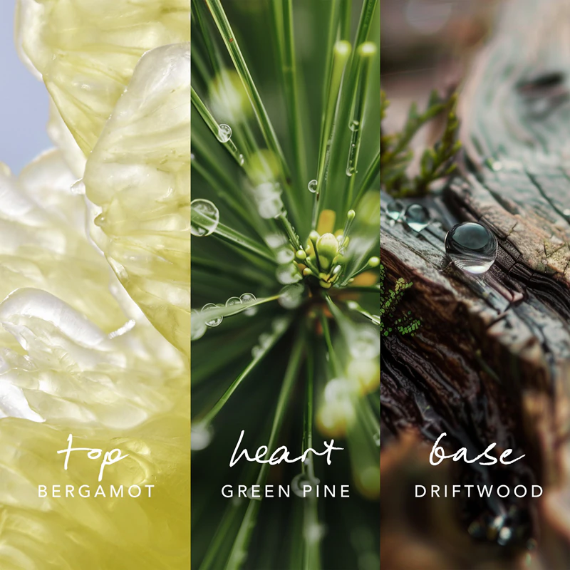 Aromatizador de ambiente em aerossol inspirado na natureza mexicana