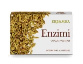 Enzymes ERBAMEA Erbamea 24 gélules végétales Complément alimentaire pour favoriser la digestion