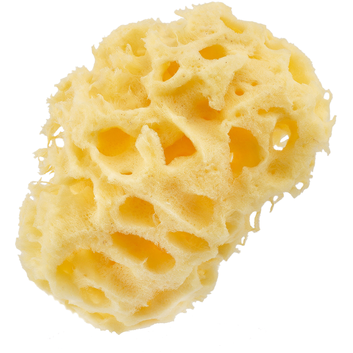Höhöö