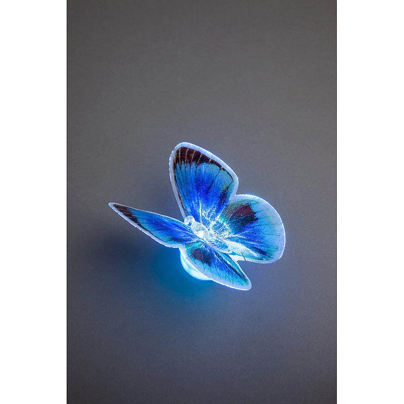 Light IT Butterfly imukupilla, LED-valo