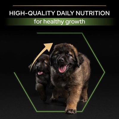 PURINA PRO PLAN Große Robuste Welpen-Gesundheitskur für einen gesunden Start