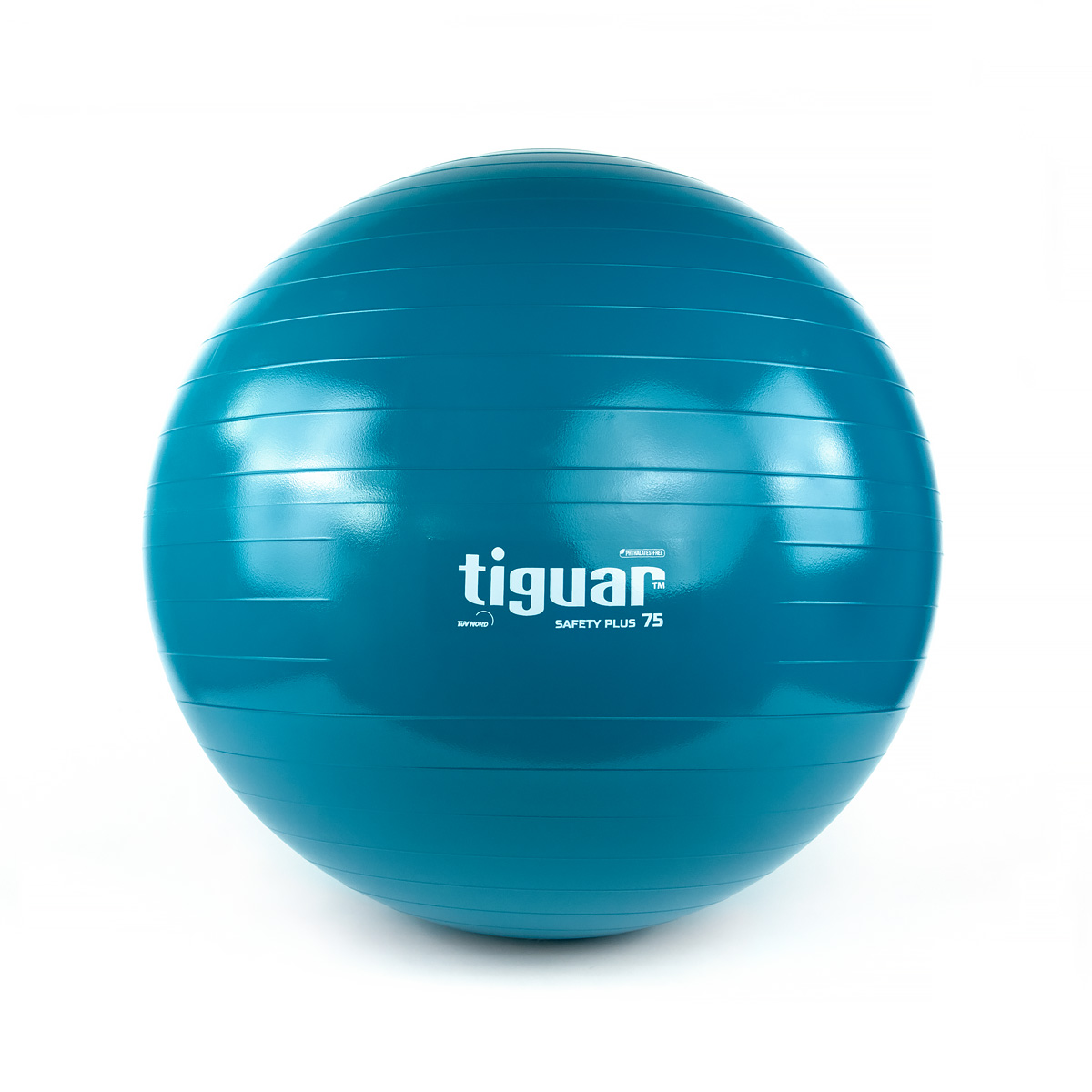 Tiguar Safety plus