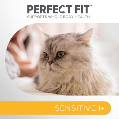 Perfect Fit Sensitive 1+ Runsaasti kalkkunaa
