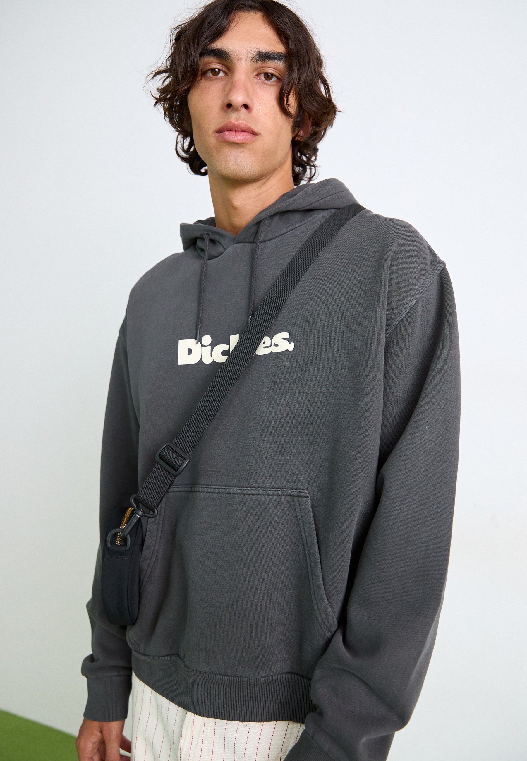 Dickies Hoodies