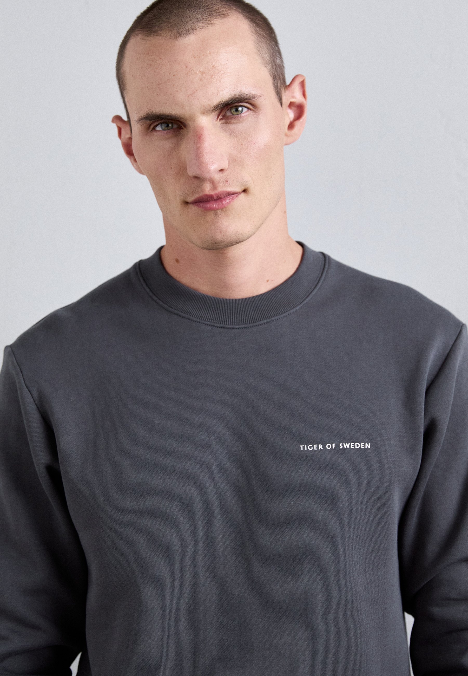 Tiger of Sweden EMERSON - Bluza - srebrna