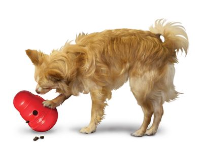 KONG Wobbler Hundespielzeug