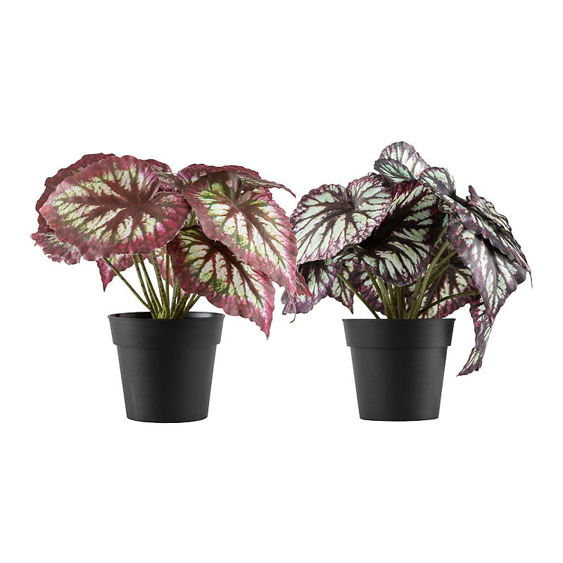 Kunstig Begonia Blomst Konge 20 cm