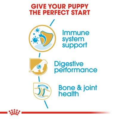 Royal Canin Németjuhász Puppy
