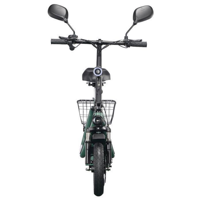 TWOFISH M5 PRO-E - Elektrische scooter - met EEC-certificering - 500W motor - 48V 13Ah accu - 12-inch banden - Actieradius van 30 km
