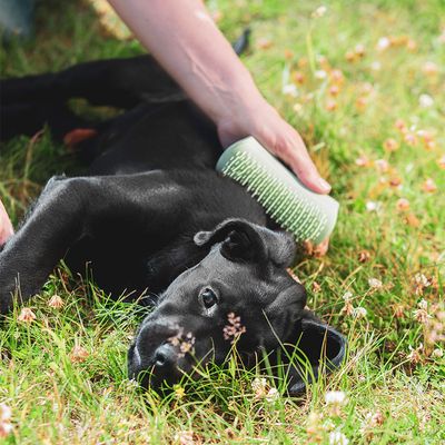 Spazzola per cuccioli Pet Teezer
