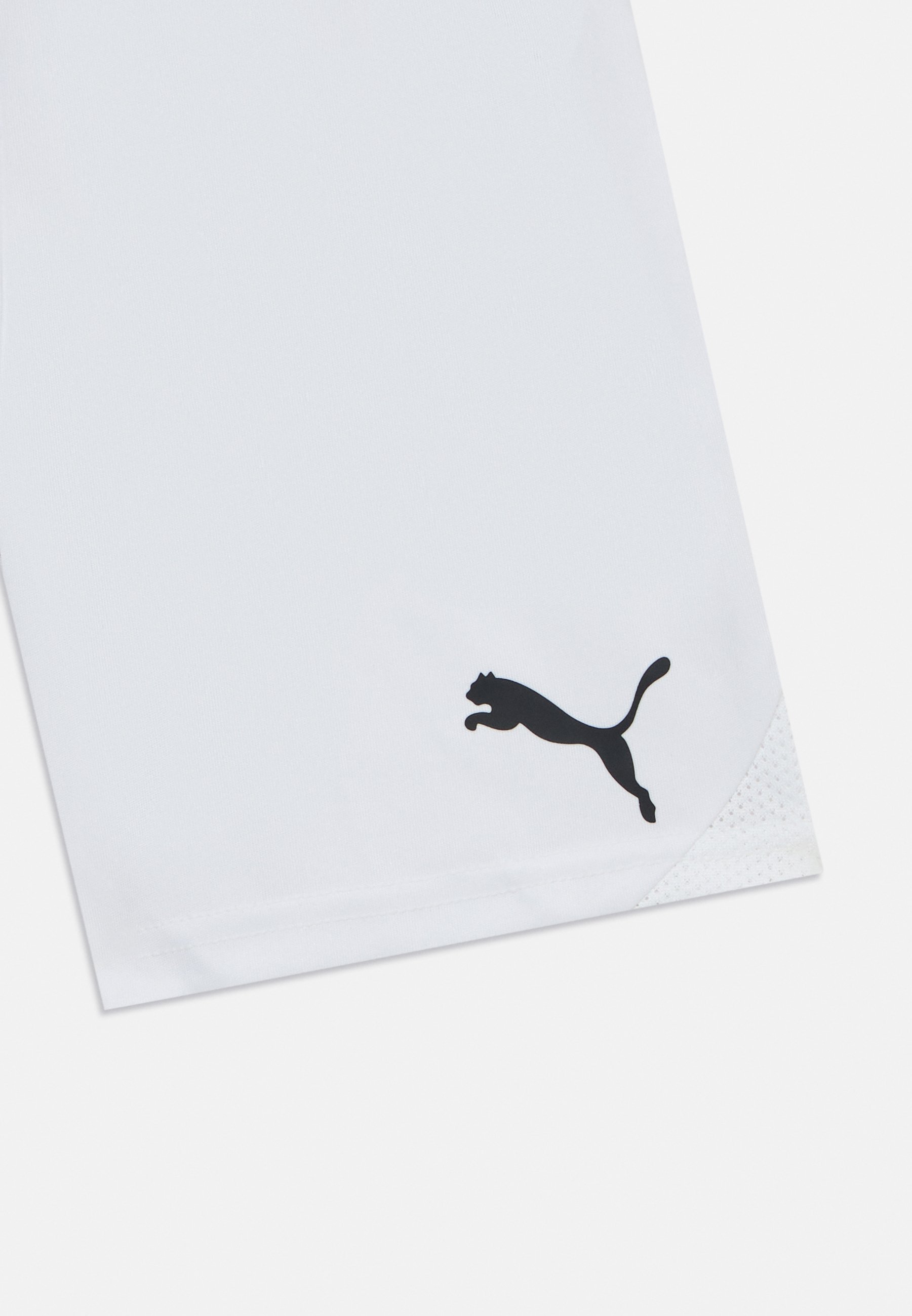 Puma TEAMGOAL - Sportshorts - witzwart