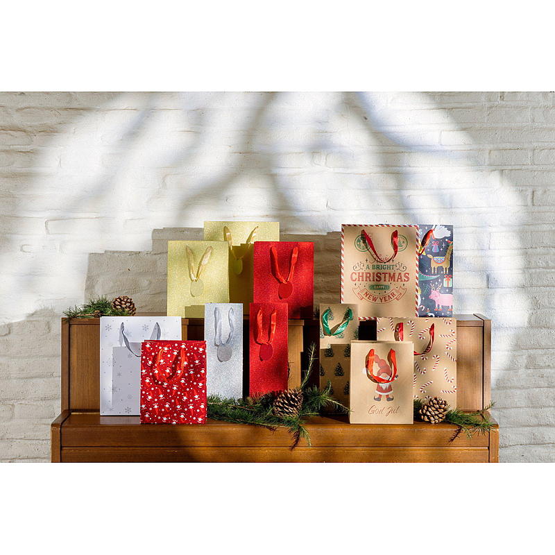 Sac cadeau en papier kraft 20 x 25,5 x 11 cm