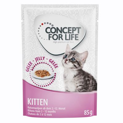 Concept for Life Kitten - w galaretce