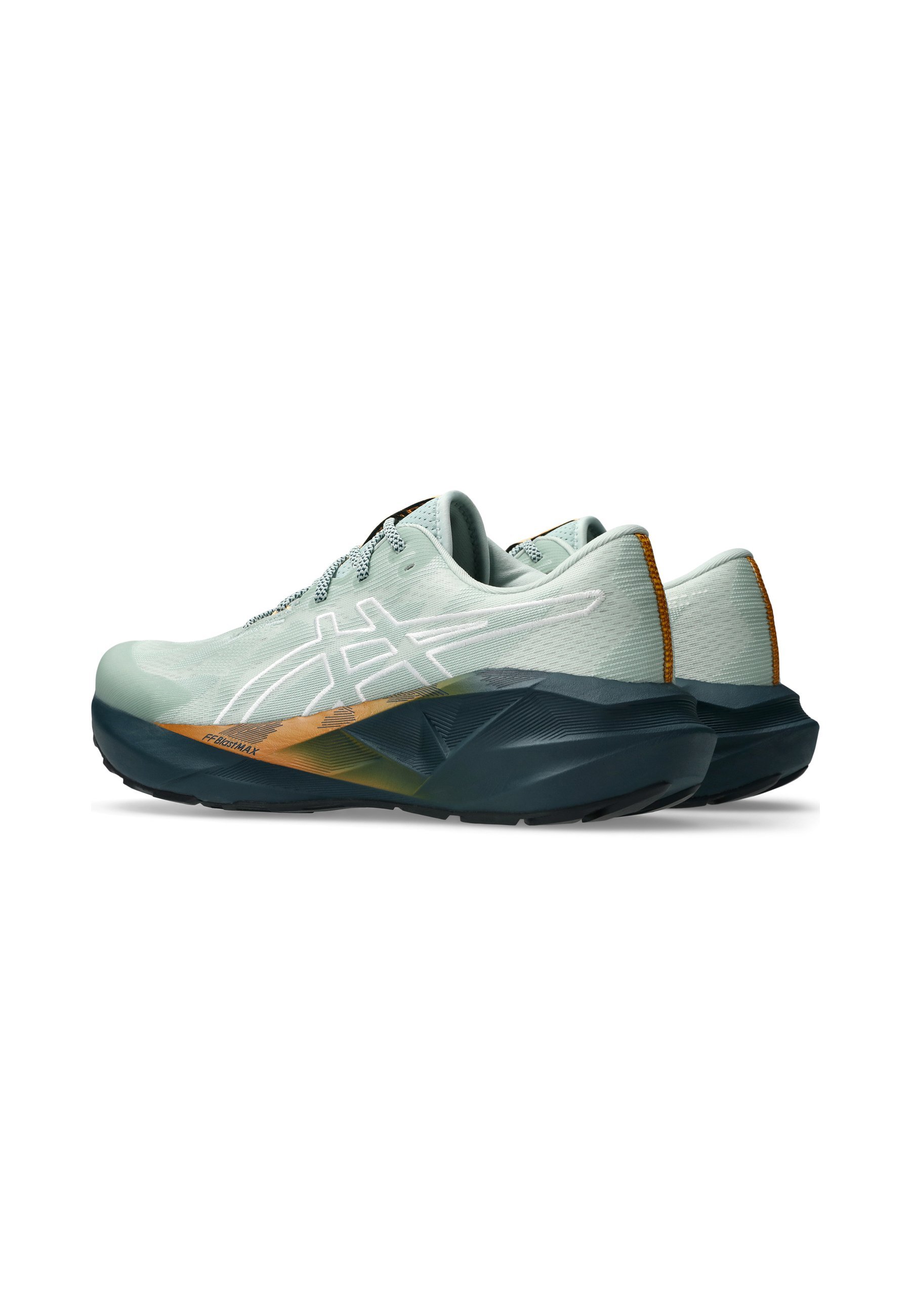 ASICS NOVABLAST 5 TR - Trailrunning schoenen - natuurbaden, korstmos en rots