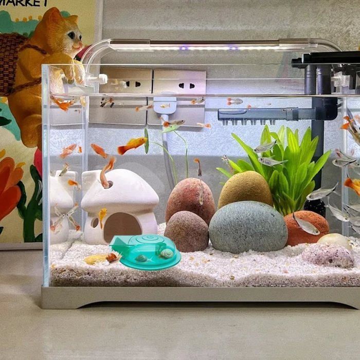 Lot de 2 pièges à escargots en plastique transparent pour aquarium, 17 x 12,3 x 3 cm.