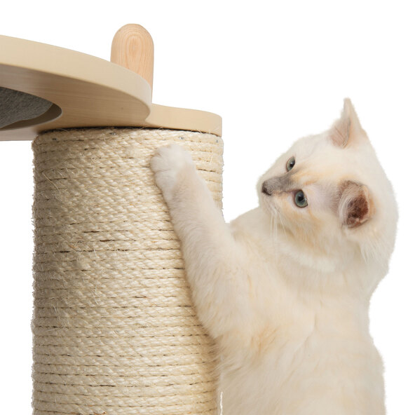 Træhus, stort